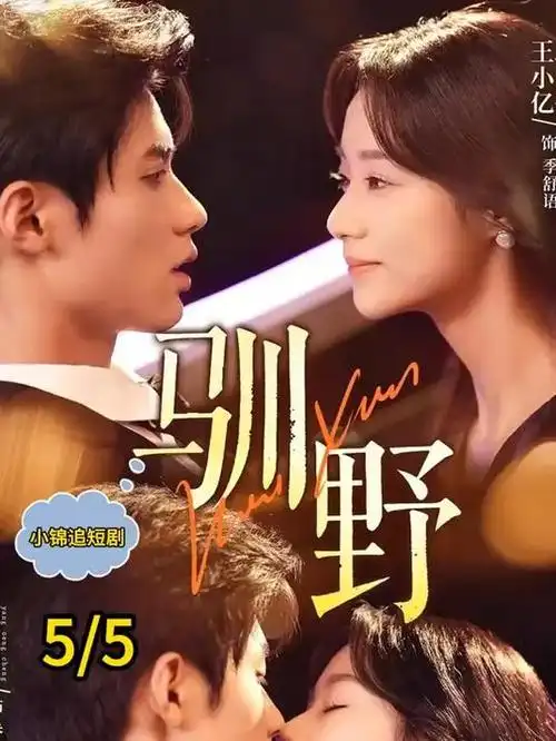 第九影院《回声实验室》剧集海报